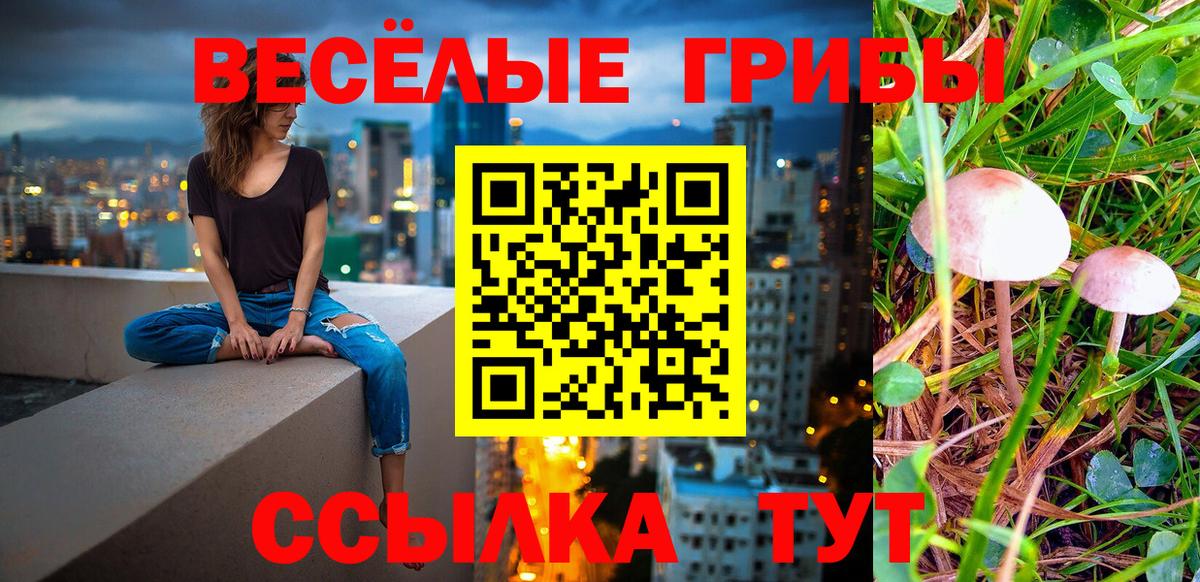 Псилоцибиновые грибы прущие грибы  Вход с VPN  Жигулёвск 